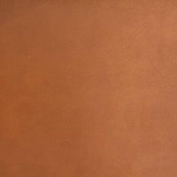 Cognac Aniline Leather (JESOLO COGNAC 64)