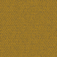Mustard DINARD 010