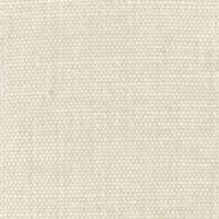 Beige (BEGONIA 020)