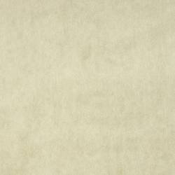 Warm Beige (ELODEA 1021)