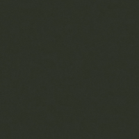 Forest Green VELVET 070